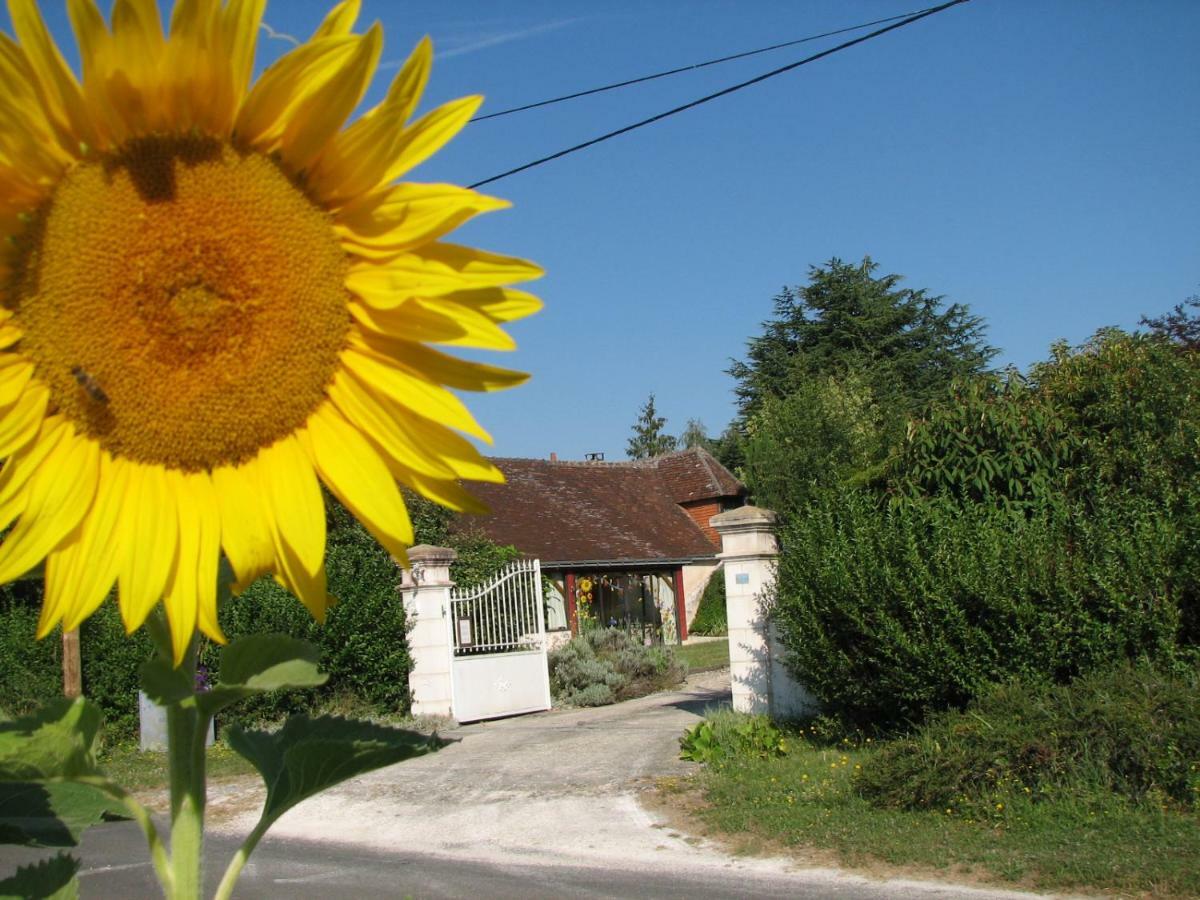 Le Clos Du Petit Marray Bed and Breakfast Chambourg-sur-Indre Εξωτερικό φωτογραφία
